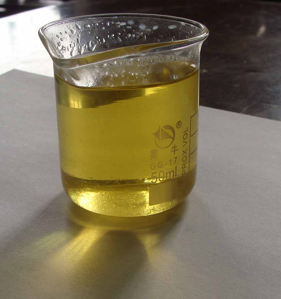 &#81;&#89;&#29699;&#21451;&#20250;