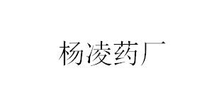 &#81;&#89;&#29699;&#21451;&#20250;